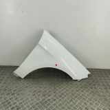 Kotflügel vorne rechts