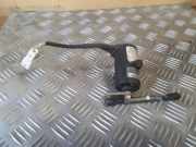 Fahrpedal Renault Scenic I (JA) 0206001021