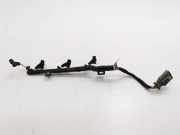 Kabelbaum Citroen C4 Cactus () 9670855680