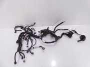 Kabel Motor Nissan Micra V (K14) 240115FN0B