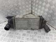 Ladeluftkühler Peugeot 407 Coupe () 9645682880