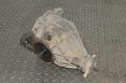 Differenzialgetriebe hinten MERCEDES-BENZ CLS (C218) CLS 220 BlueTEC / d (218.301) 2.47