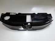 Vorderer oberer Gitter HYUNDAI ix35 (LM, EL, ELH) 1.7 CRDi 863512Y000
