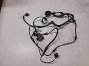 Kabelbaum Jaguar S-Type (X200)