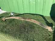 Fahrwerksfeder hinten rechts FORD TRANSIT Furgon 2.2 TDCi BK315560KJ 2338327