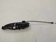 Motorhaubenöffnungsgriff FORD C-MAX II (DXA/CB7, DXA/CEU) 1.6 TDCi 3m51R224a37