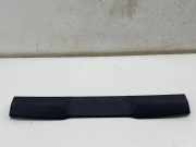 Andere Verkleidungsteile TOYOTA C-HR (_X2_, _H2_) PHEV 64790F4050