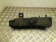 Kraftstoffdampffilter (EVAP) PEUGEOT 2008 1.2 THP 110 9829656180