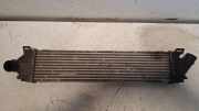 Ladeluftkühler FORD MONDEO IV (BA7) 2.0 TDCi 070110