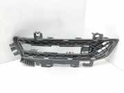 Gitter vorne unten MERCEDES-BENZ E Coupe (C207) E 350 (207.356) A2078800324