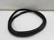 Dichtungsgummi der hinteren Tür (an der Karosserie) BMW 2 Active Tourer (U06) 218i