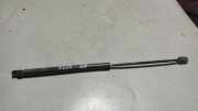 Heckklappe Gasdruckfeder links VW PASSAT Variant B5 (3B5) 1.9 TDI