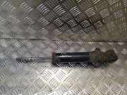 Stoßdämpfer hinten rechts TOYOTA AVENSIS (_T25_) 2.2 D-4D (ADT251_)