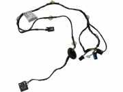 Kabel der vorderen linken Tür MERCEDES-BENZ A (W169) A 160 CDI (169.006, 169.306) A1695400905