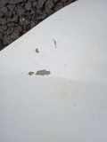 Kofferraumdeckel NISSAN PRIMERA (P12) 2.2 dCi