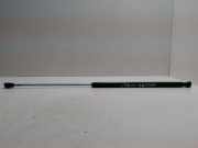 Heckklappe Gasdruckfeder links RENAULT LAGUNA II Grandtour (KG0/1_) 1.9 dCi (KG0G) 8200000896A