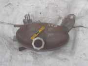 Ausgleichsbehälter NISSAN INTERSTAR Furgon (X70) dCi 120 8200595002