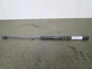 Gasfeder für Motorhaube Fiat Stilo (192)