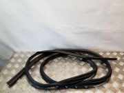 Türdichtungsgummi vorne links