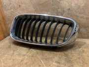 Vorderer oberer Gitter BMW 3 Gran Turismo (F34) 320 d 7294803