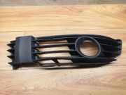 Gitter vorne unten VW PASSAT B5 (3B3) 2.5 TDI 3B0853665L