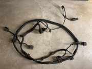 Kabelbaum Vorderen Parksensoren VW PHAETON (3D_) 5.0 V10 TDI 4motion 6X0973717