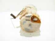 Kraftstofftankpumpe RENAULT KANGOO Express (FC0/1_) 1.5 dCi Nėra