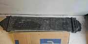 Ladeluftkühler FORD S-MAX (WA6) 2.0 TDCi 6G919L440FC
