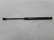Heckklappe Gasdruckfeder rechts RENAULT MEGANE II (BM0/1_, CM0/1_) 1.9 dCi (BM0G, CM0G) 8200051750