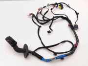Kabel der vorderen linken Tür HYUNDAI KONA EV SEL 91601K4031