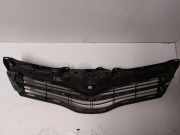 Gitter Grill vorne links TOYOTA YARIS (_P13_) 1.4 D-4D (NLP130_) 531070D220