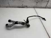 AdBlue Einspritzdüse BMW X6(G06) (G06, F96) xDrive 30 d 9887955