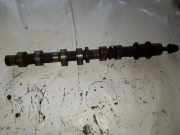 Auslassnockenwelle LEXUS RX (MCU15) 300 AWD