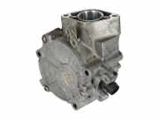 Vakuumpumpe VW GOLF VII (5G1, BQ1, BE1, BE2) 2.0 R 4motion 06L145100G