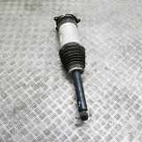 Pneumo-Stoßdämpfer hinten links TESLA MODEL S 90D AWD W309255100 1067461-00-C