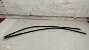 Dachleiste links MERCEDES-BENZ AMG GT (C190) GT (190.377) A1906731400