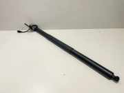 Heckklappe Gasdruckfeder links BMW X6(G06) xDrive 30 d 5A1DEC5