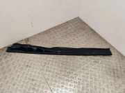 Abdeckkappe Scheinwerferwaschanlage links RENAULT SCÉNIC II (JM0/1_) 1.9 dCi (JM0G, JM12, JM1G, JM2C) 668424823R