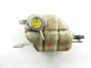 Ausgleichsbehälter NISSAN PATHFINDER III (R51) 4.0 4WD