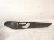 Türverkleidung rechts vorne Mercedes-Benz GLC Coupe (C253)