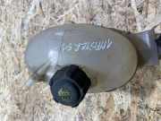 AUSGLEICHSBEHÄLTER KÜHLWASSER RENAULT MASTER III Furgon (FV) 2.3 dCi 130 FWD 217100015r