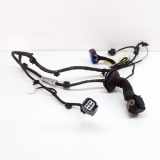 Türverkabelung hinten links MASERATI GHIBLI (M157) 3.0 S Q4 06700086070