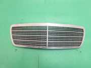 Vorderer oberer Gitter MERCEDES-BENZ E (W210) E 270 CDI (210.016) 2108800583