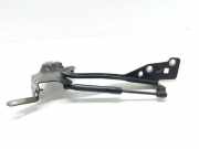 Motorhaubenscharnier links Renault Grand Scenic III (JZ) 654010004R
