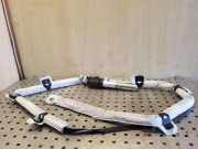 SRS Modul Dach links BMW X3 (E83) 3.0 d 30380659B 843420225024