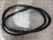 Türgummi links vorne BMW X6 (E71, E72) 7221840