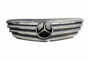 Vorderer oberer Gitter MERCEDES-BENZ B (W245) B 200 CDI (245.208) A1698800783