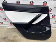 Türpolster hinten links TESLA MODEL 3 EV Performance AWD 107718446C