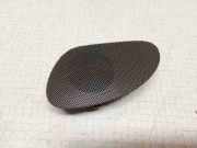 Türlautsprecher vorne links