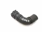 Schlauch Kühlung AUDI A4 Allroad (8WH, B9) 2.0 TFSI quattro